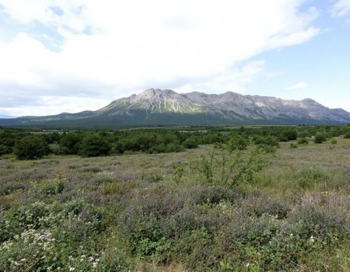 La révolution silencieuse : transformation du paysage pénal français